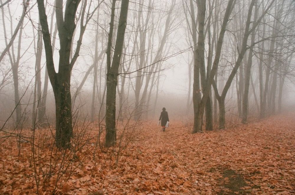 Photograph by Марта Ломако