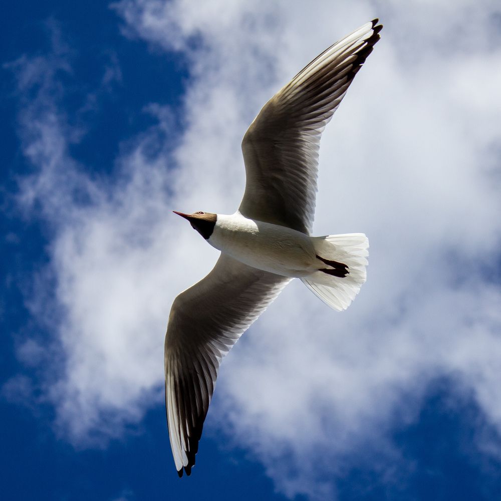 Фотография автора Таисия