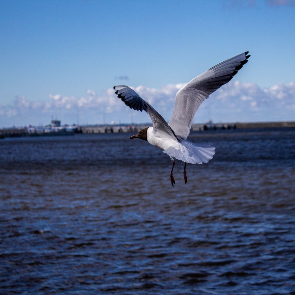 Фотография автора Таисия