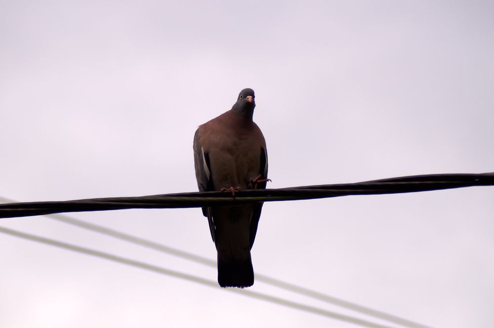 Photograph by Igor Kochkin