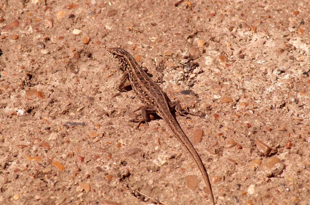 Photograph by Igor Kochkin