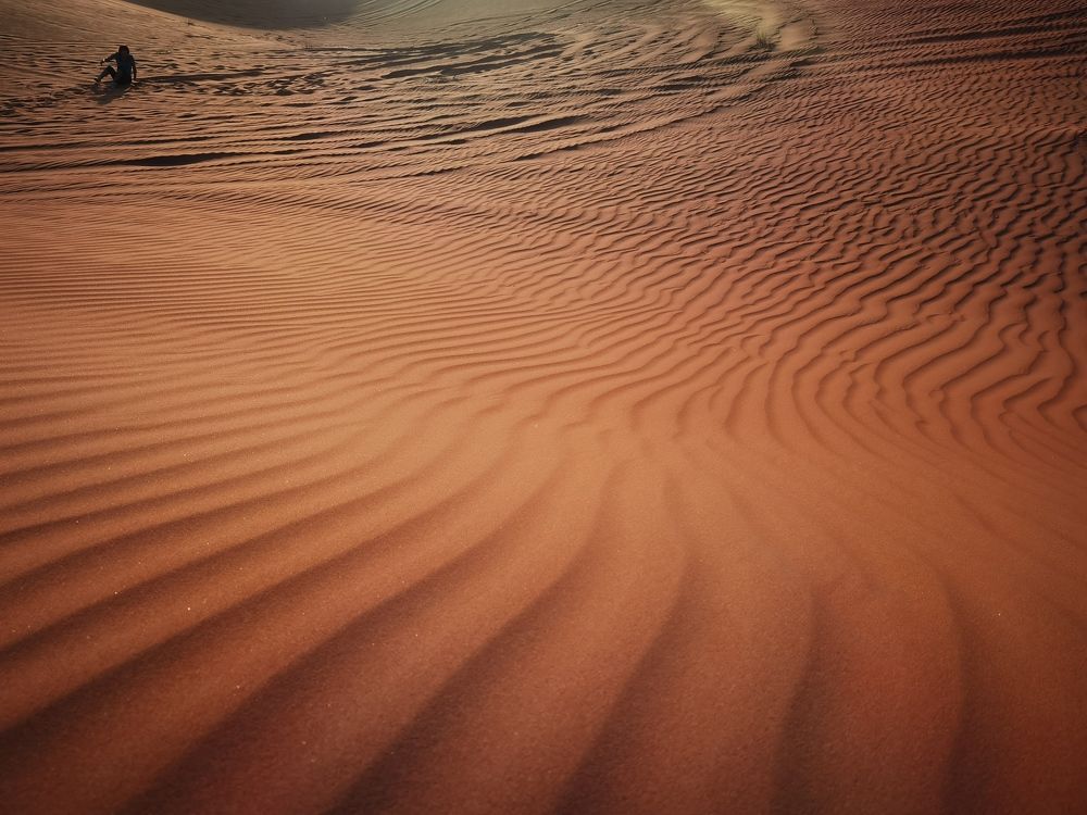 Photo #7772999