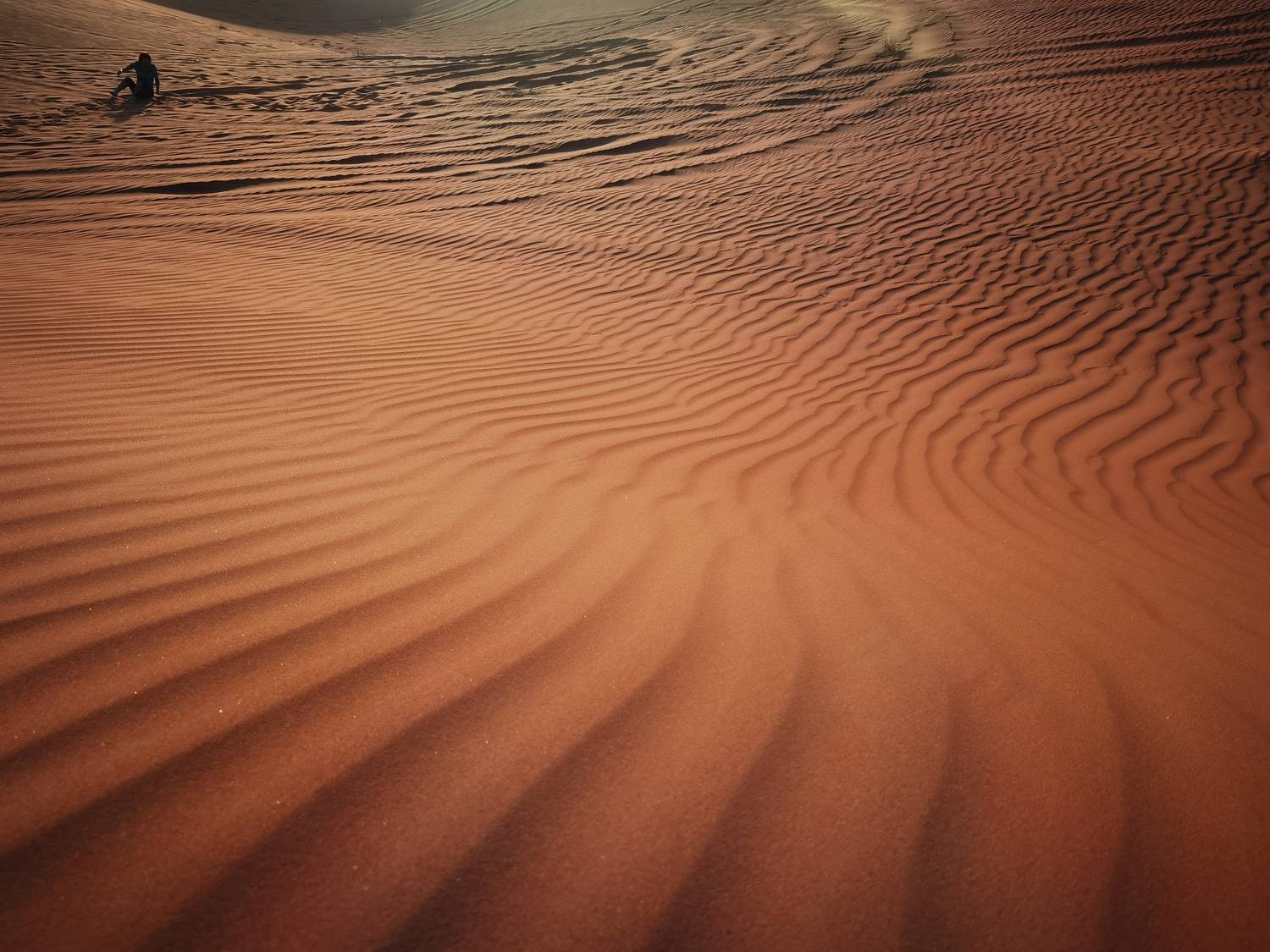 Photo #7772999