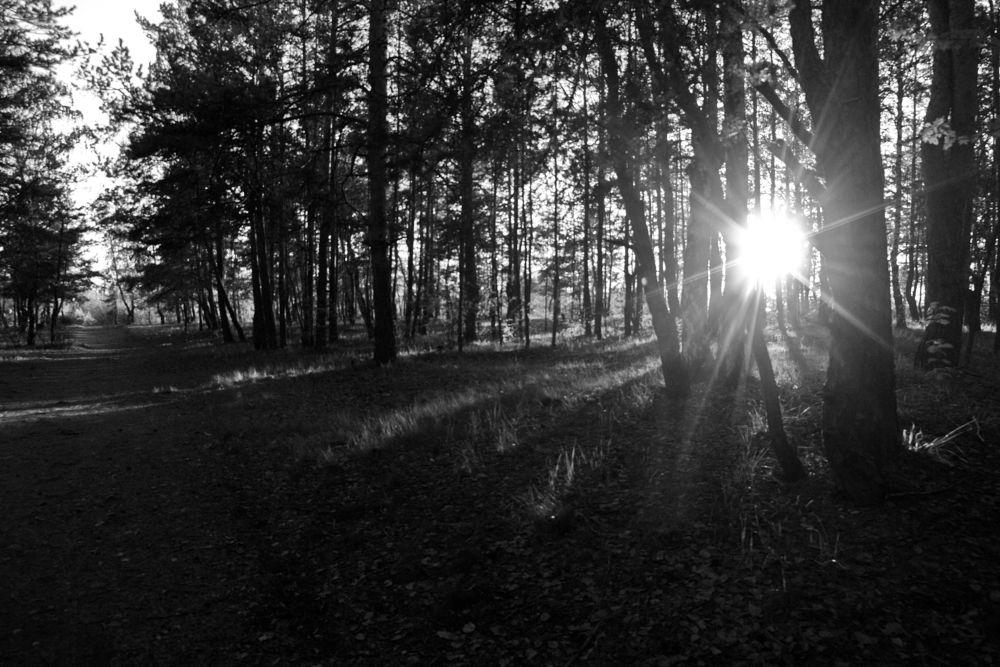 Photograph by ANTON KLYUSHIN