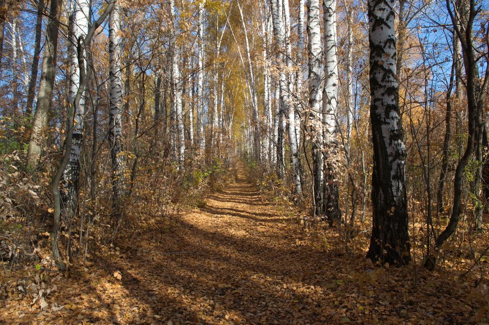 Photograph by Igor Kochkin