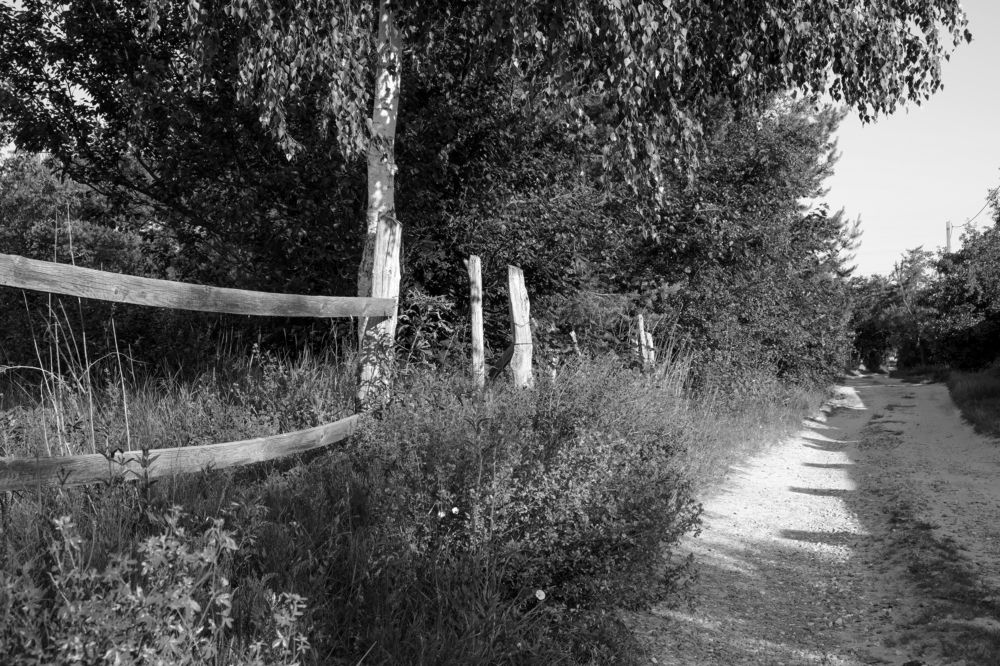 Photograph by Владимир Белобаба