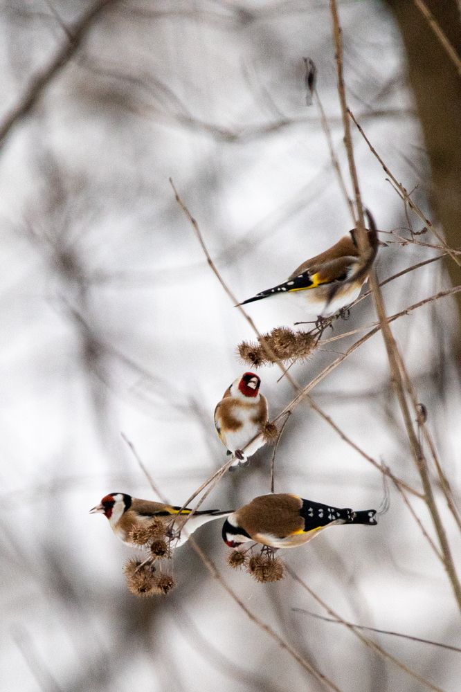 Photograph by Марина