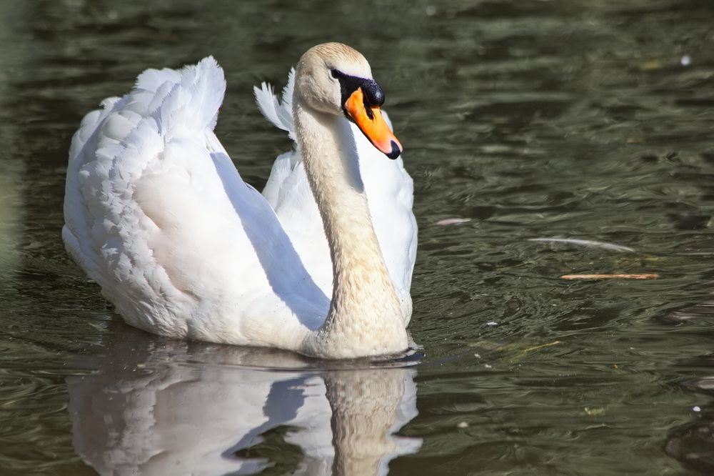 Photograph by Геннадий Лосев