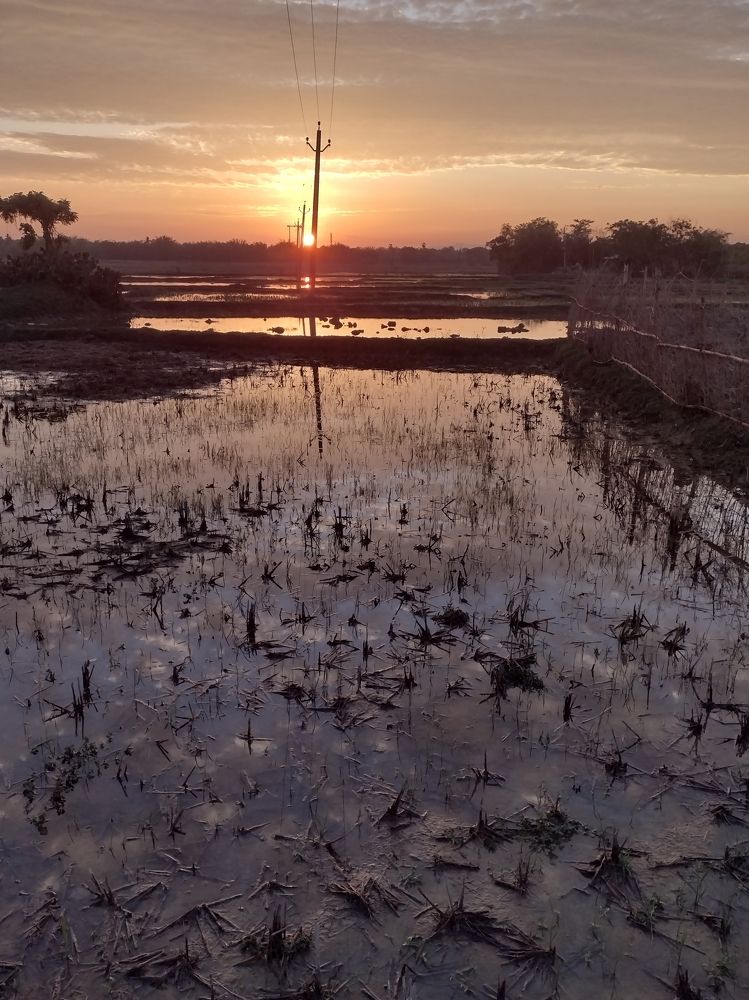 Photograph by Shaktiswaroop mishra