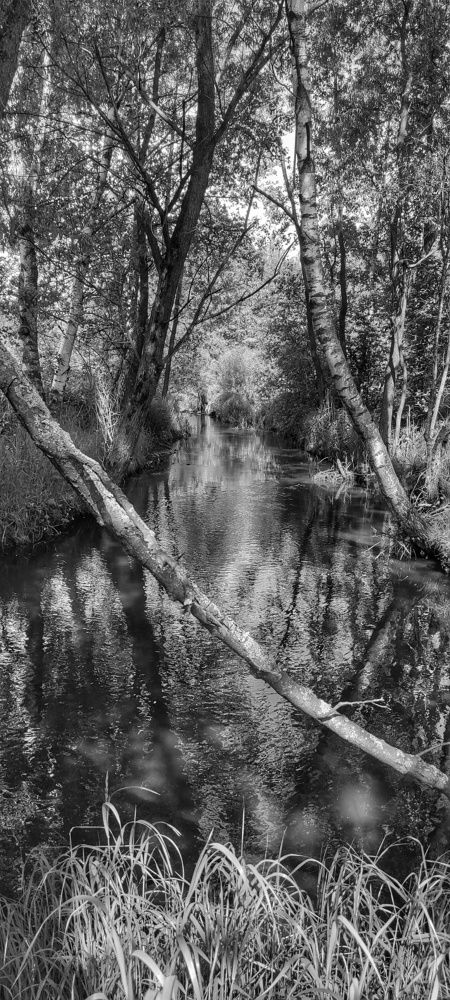 Photograph by vladimir