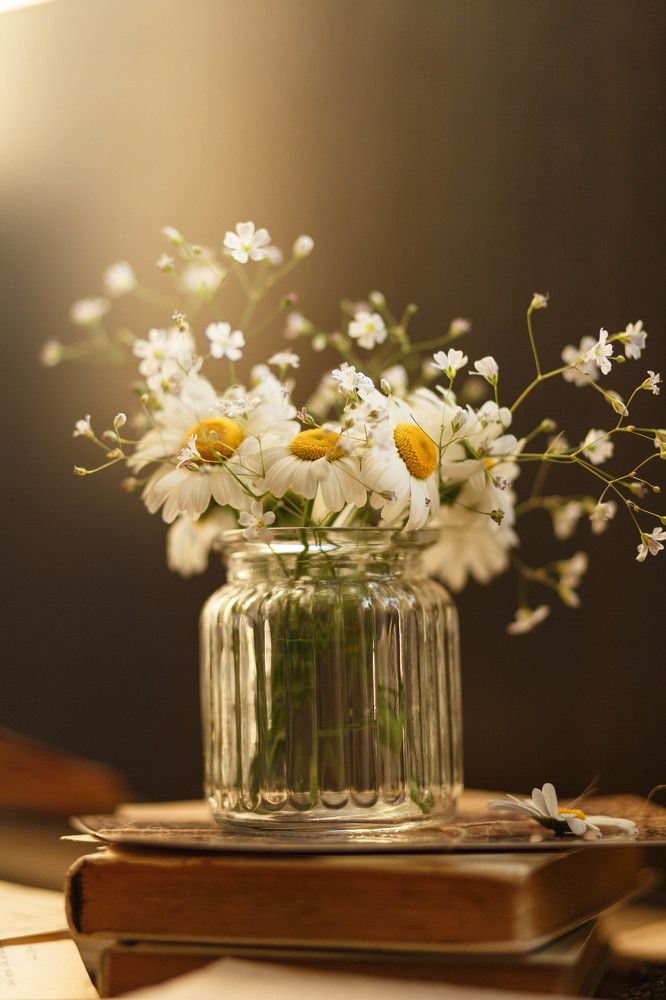 Photograph by Юлия