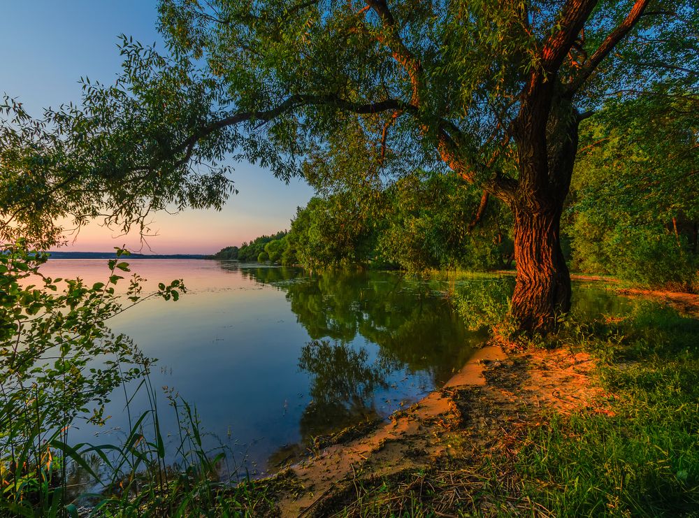 Вечерний свет