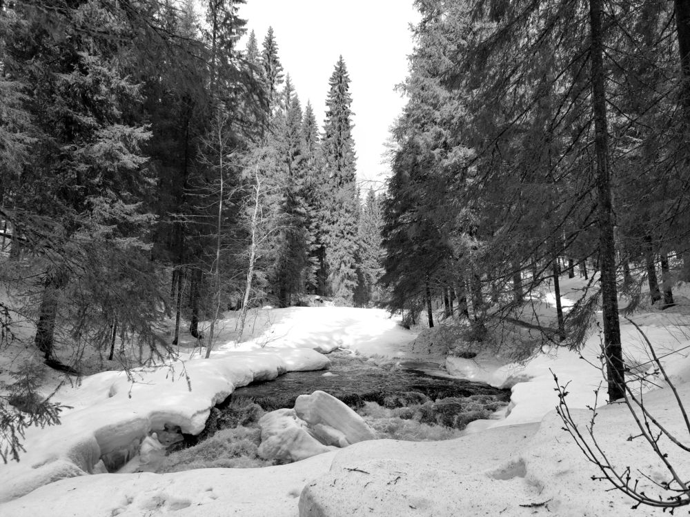 Photograph by Андрей Нурулин