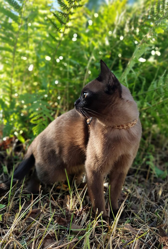 Фотография автора Надежда Лисицына