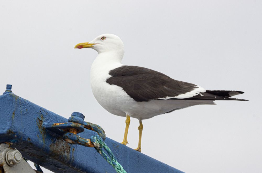 Photograph by Маргарита