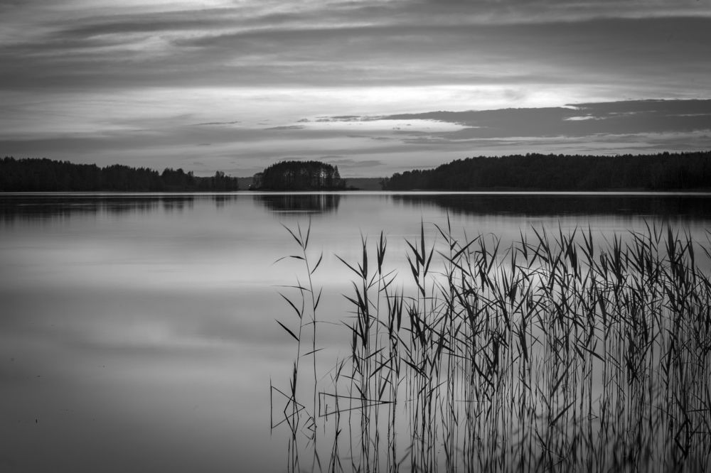 Photograph by Екатерина Рябинина