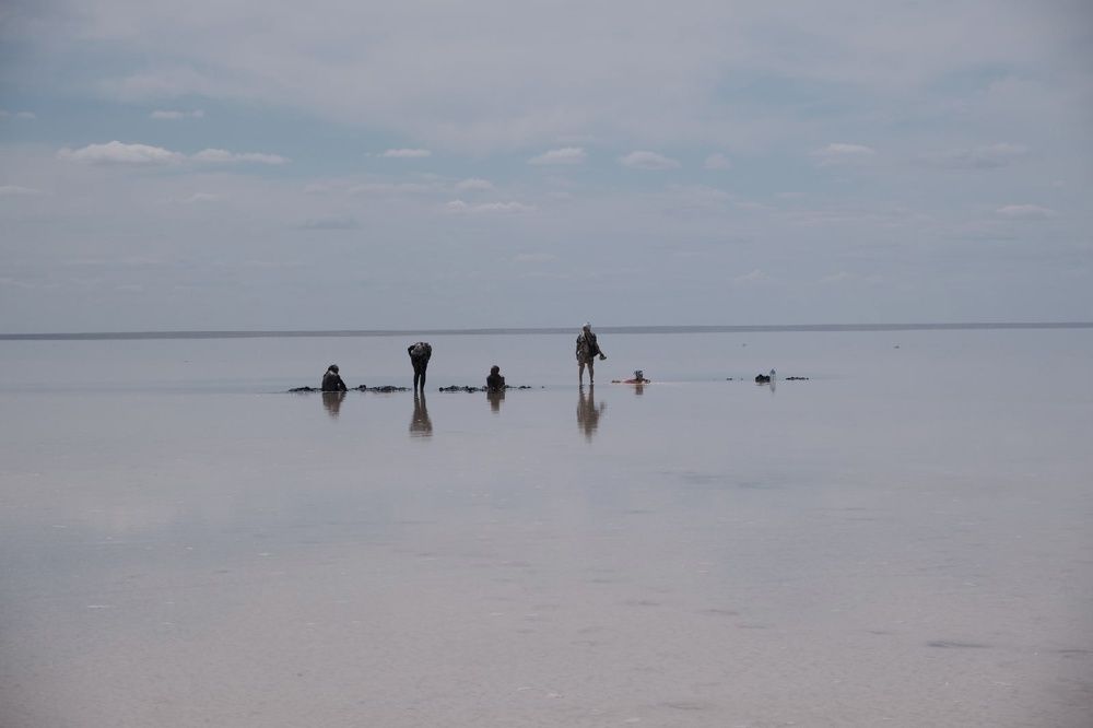 Photograph by Андрей Мертвищев