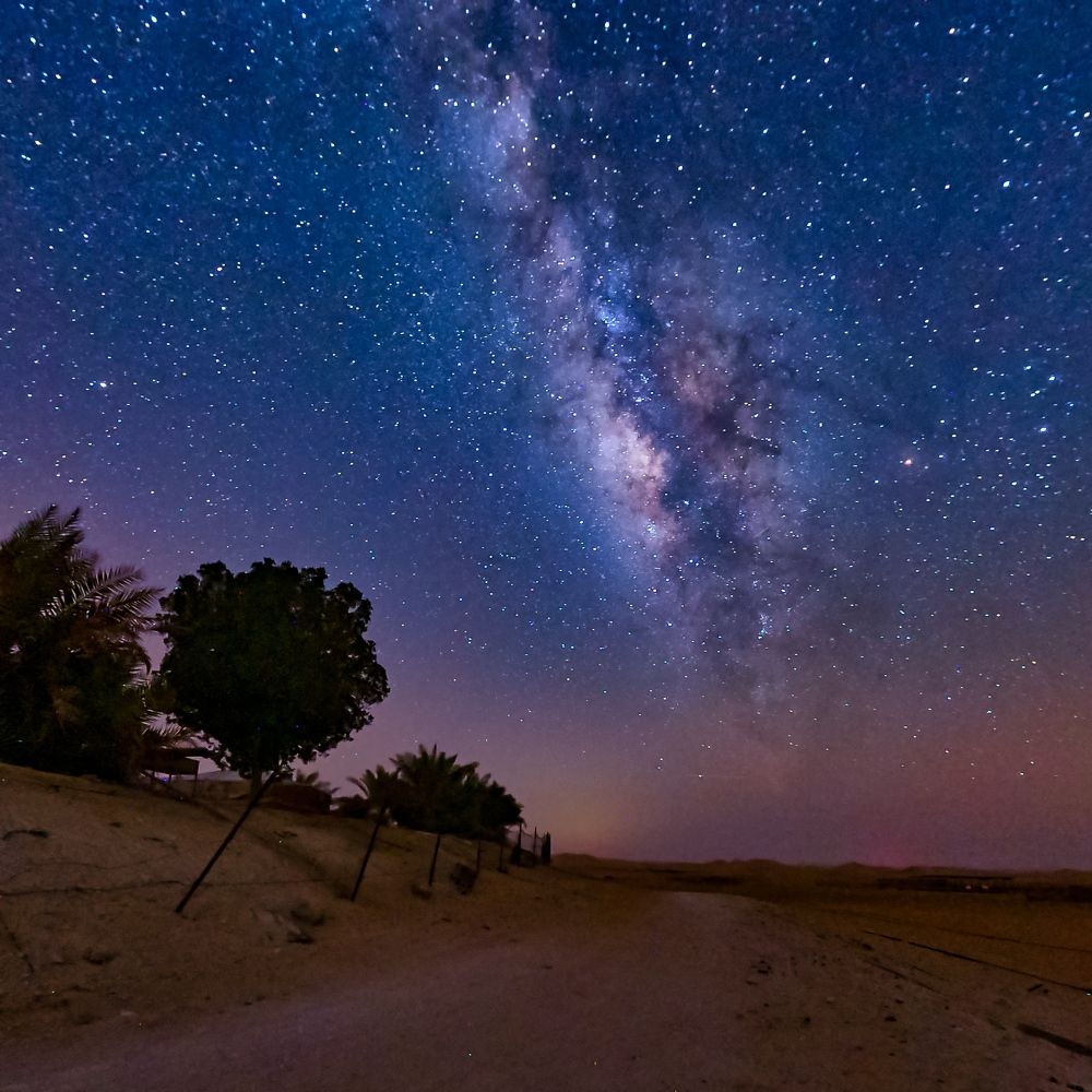 Photograph by Dhanish Chandran