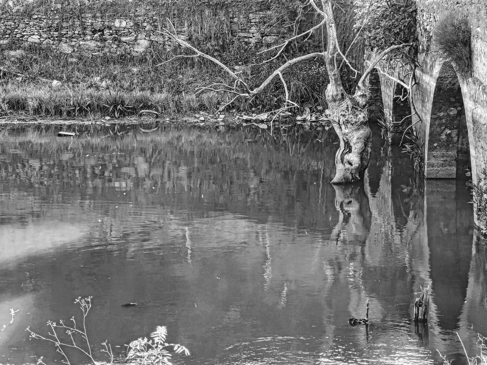 Photograph by Teresa Guerreiro