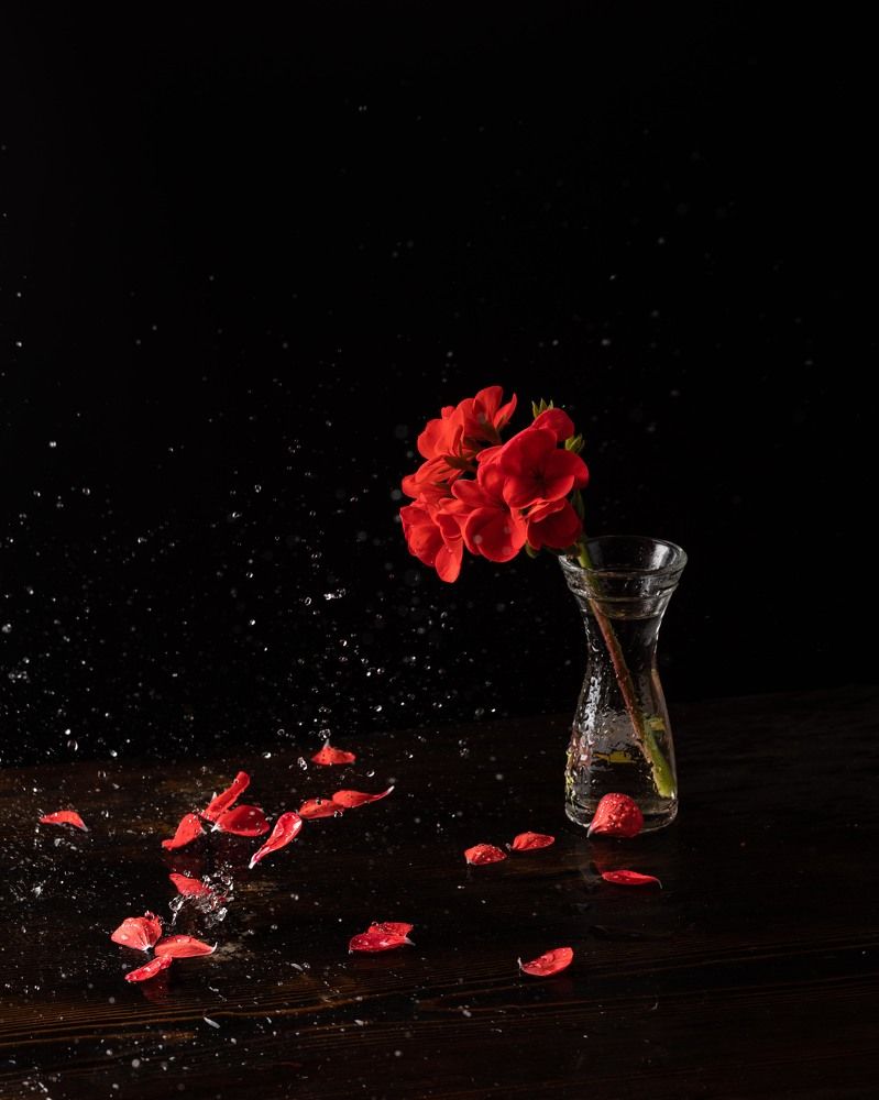 Photograph by Nataliya Povarova