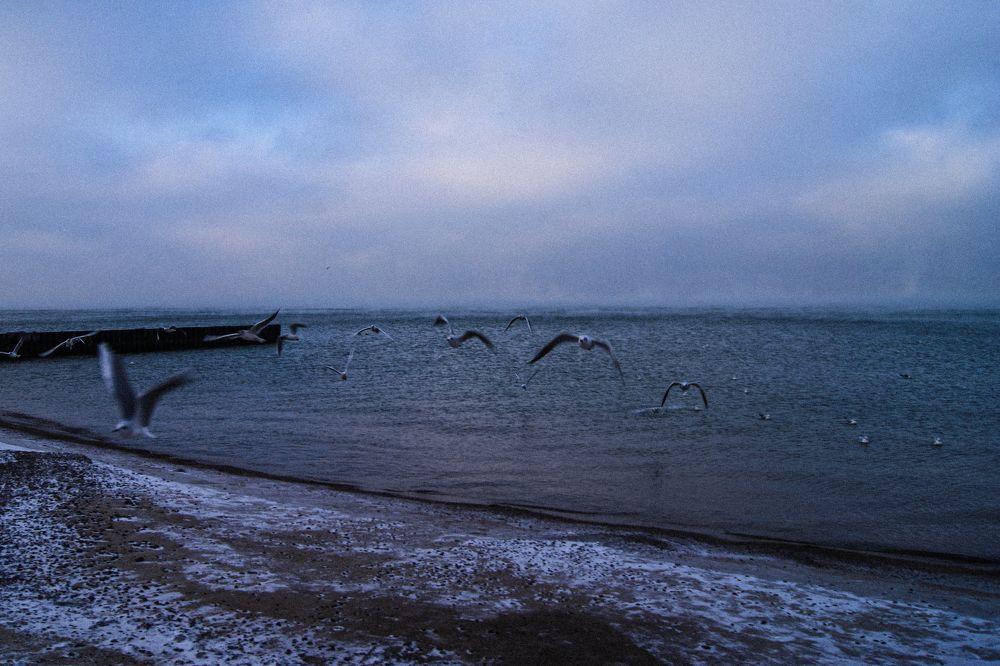 Photograph by Татьяна Чибисова