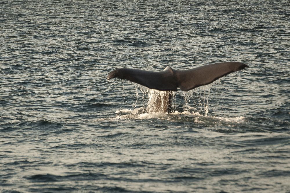 Photograph by Lucio Di Giovannantonio