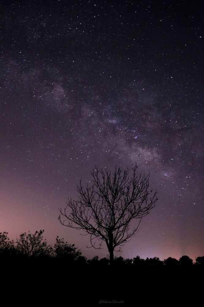 Photograph by Behnam Lohrasebi