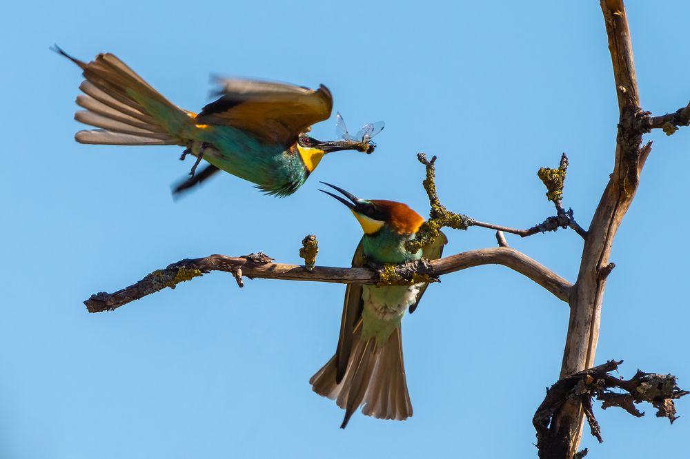 Photograph by Игорь Кляхин