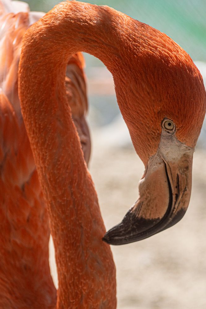 Фотография автора Алексей Школдин