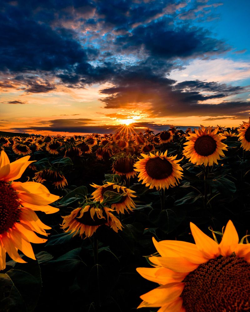 Photograph by Kovacs Robert