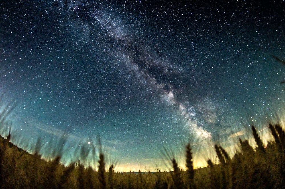 Photograph by Kovacs Robert