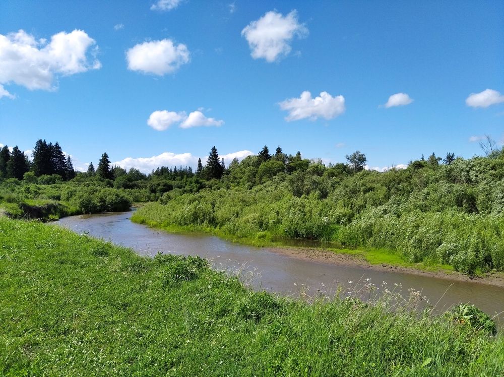 Photograph by Анастасия