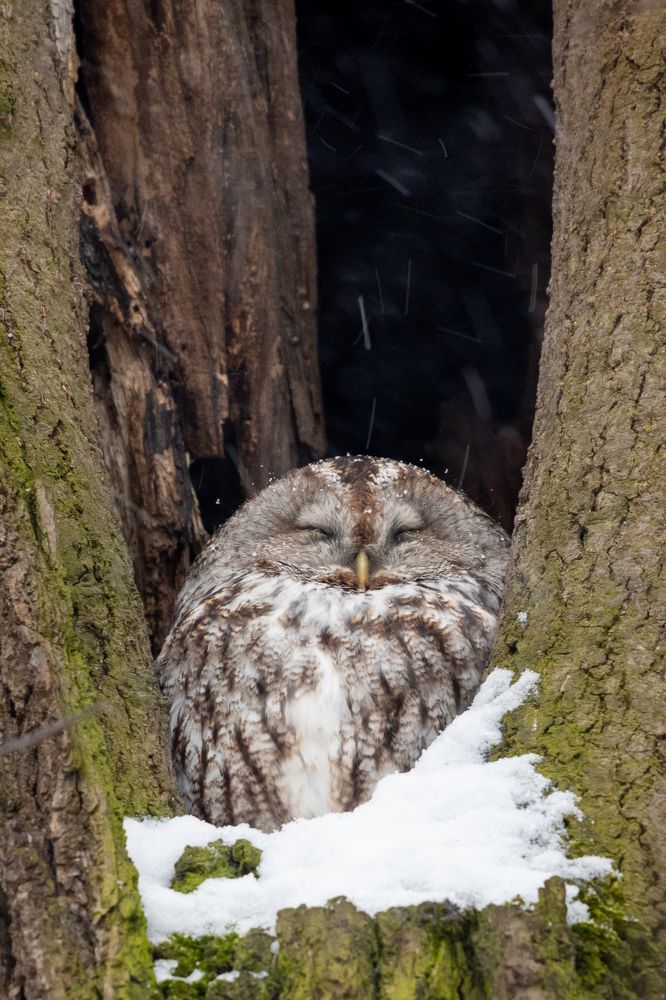 Photograph by Марина