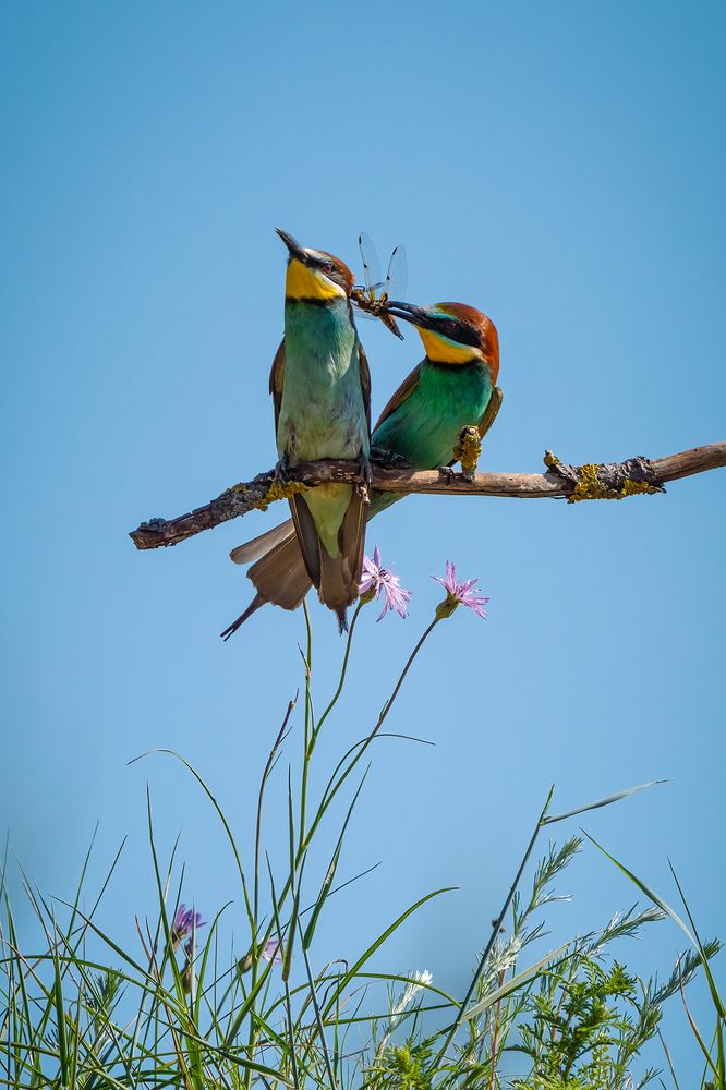 Photograph by Игорь Кляхин