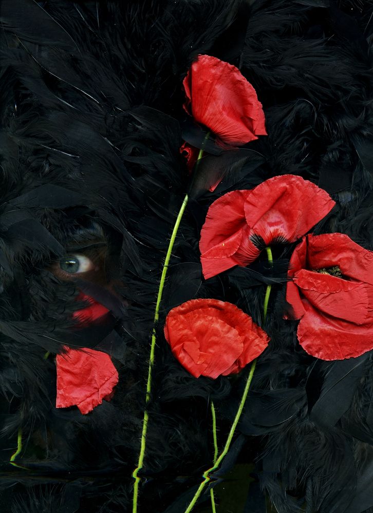 Photograph by Lyuben Zehtinski