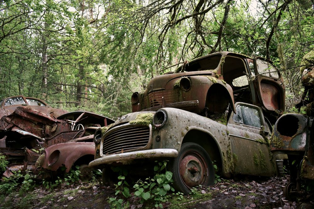 Photograph by Aušrinė Bui