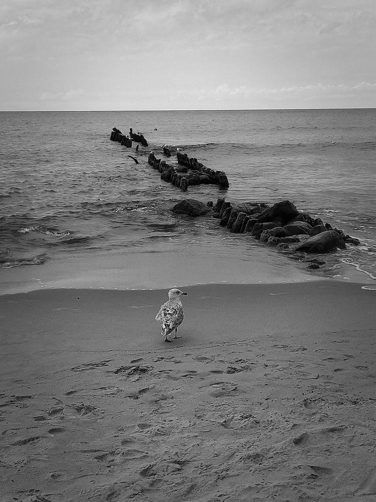 Photograph by Viktoria Vavilkina