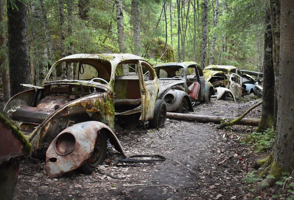 Photograph by Aušrinė Bui