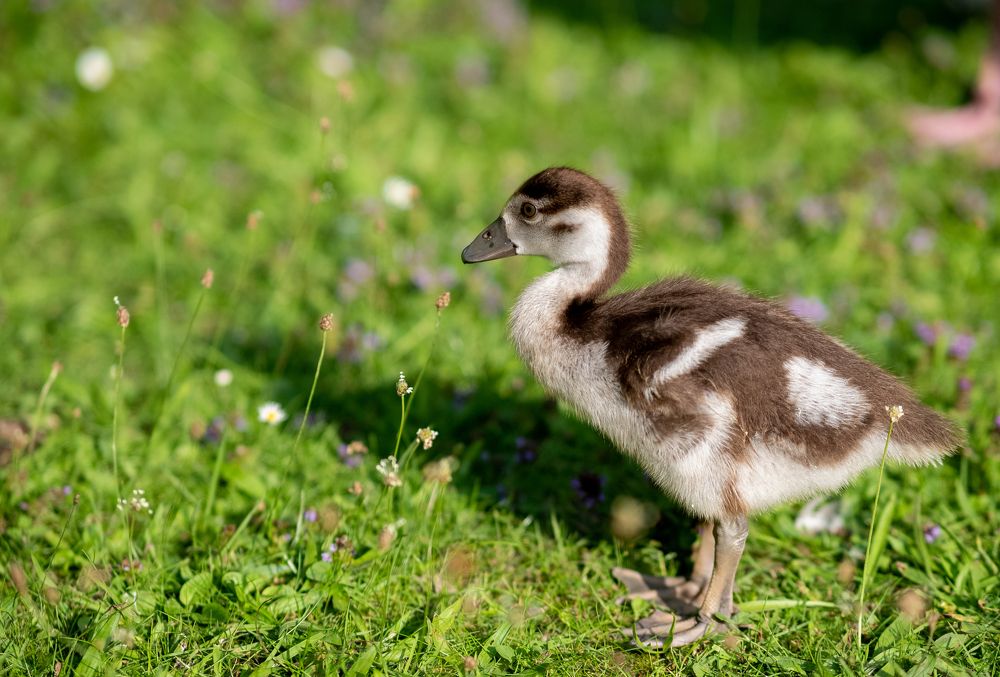 Photograph by Mikhail Stetc