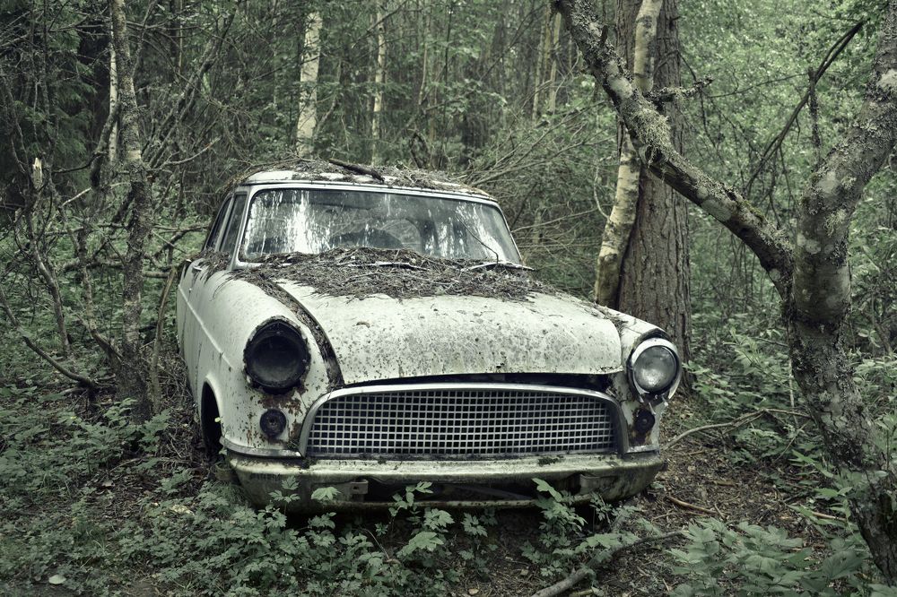 Photograph by Aušrinė Bui