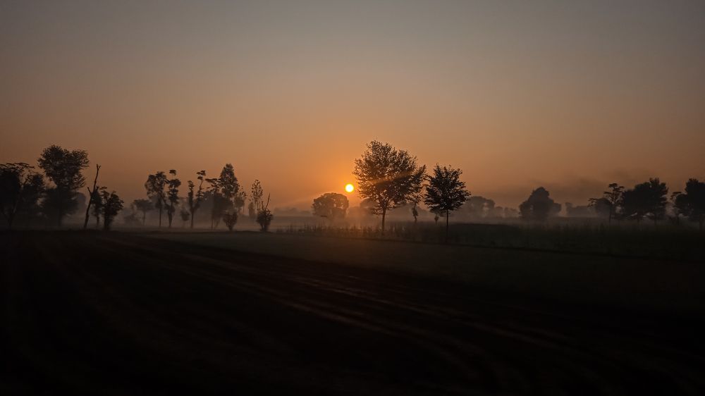 Photograph by Iqbal Tayyab