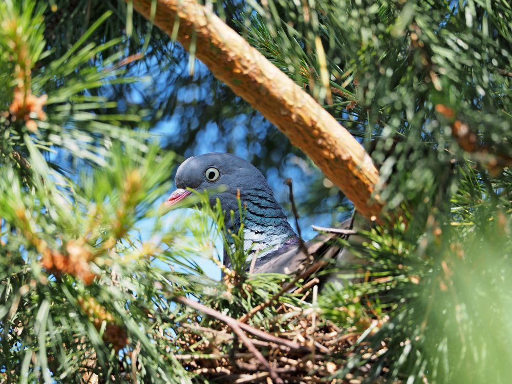 Photograph by андрей гусев