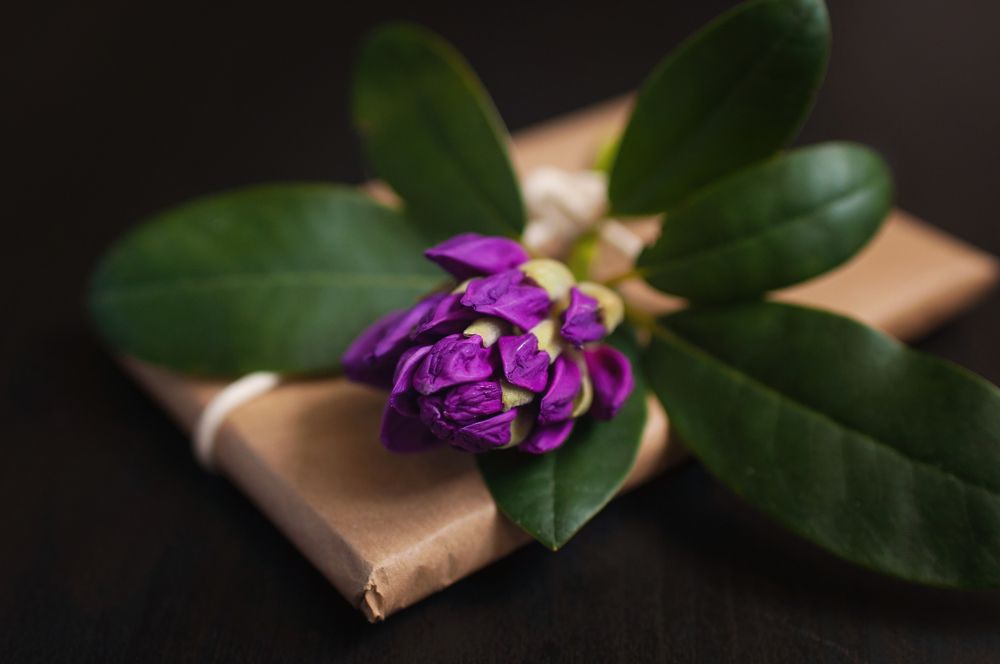 Фотография автора Elena Ozornina