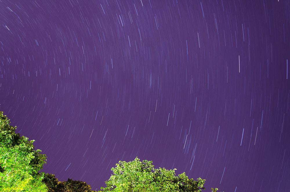 Photograph by Sahar Jafari