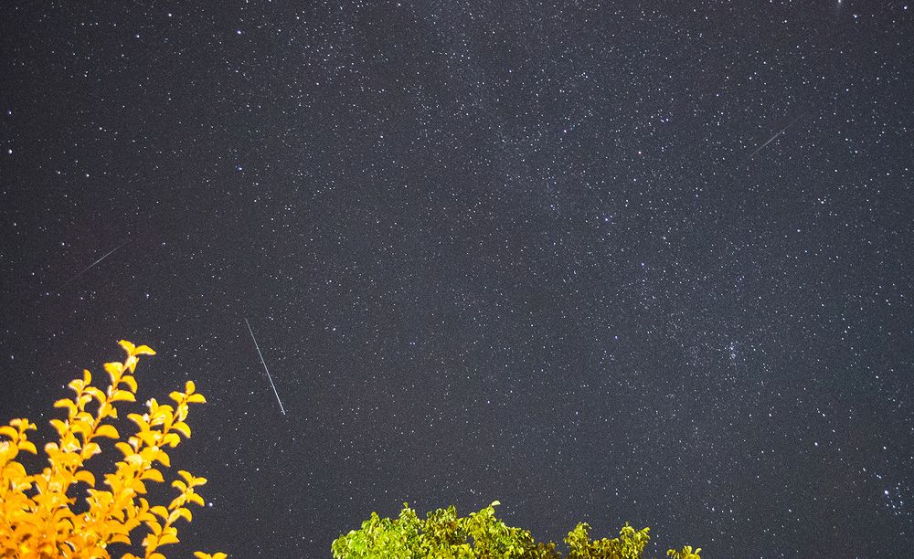 Photograph by Sahar Jafari