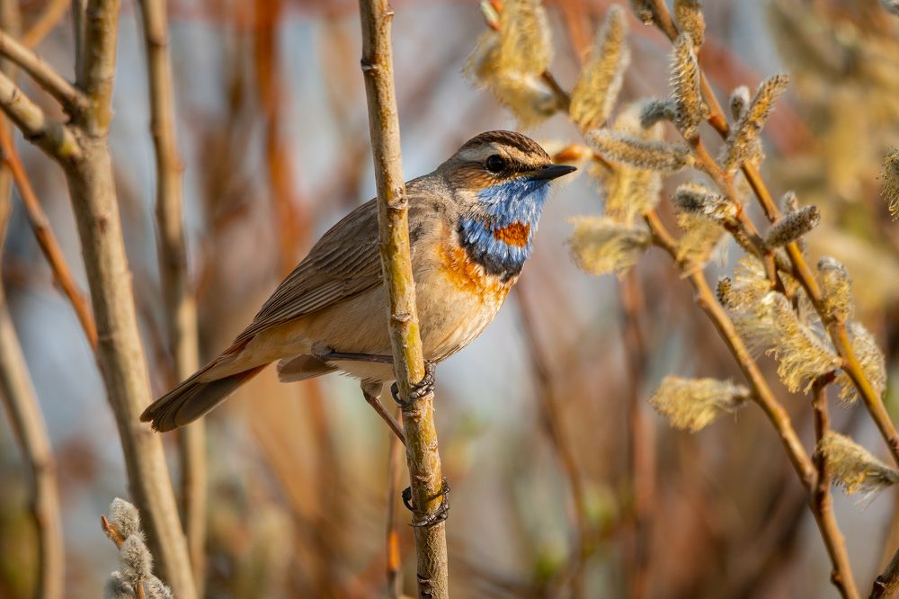 Photograph by Сергей Лебедев
