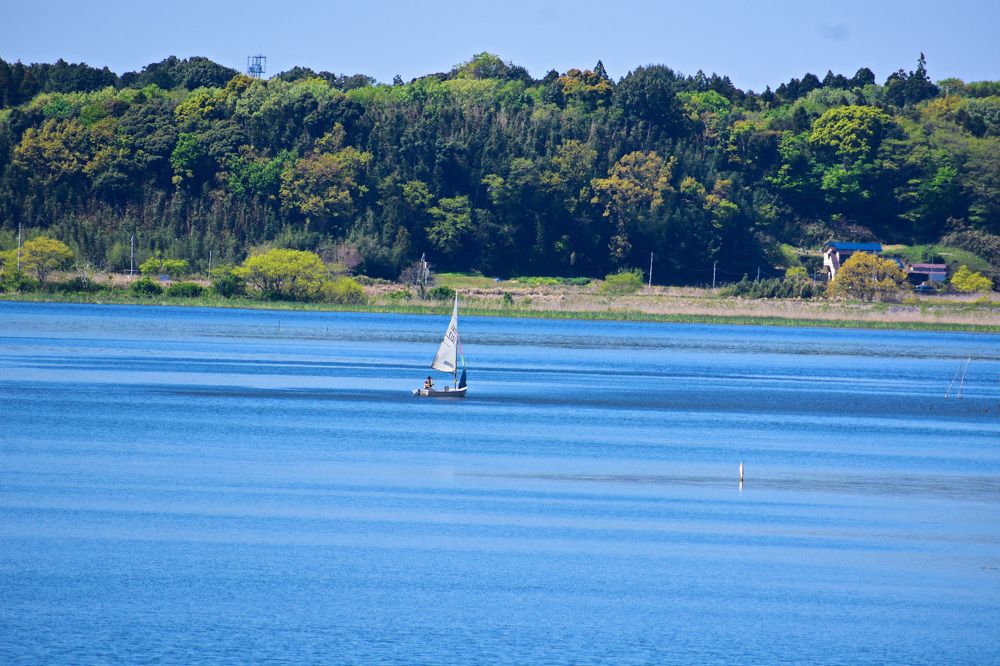 Фотография автора Sen Abhijit