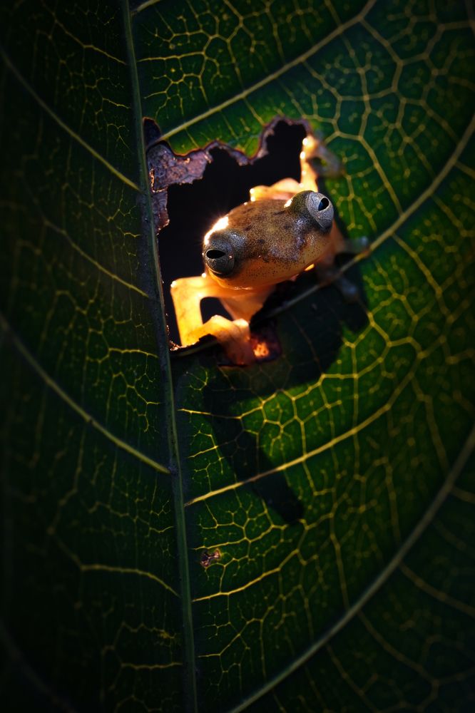 Photograph by Navela Gusti Roby