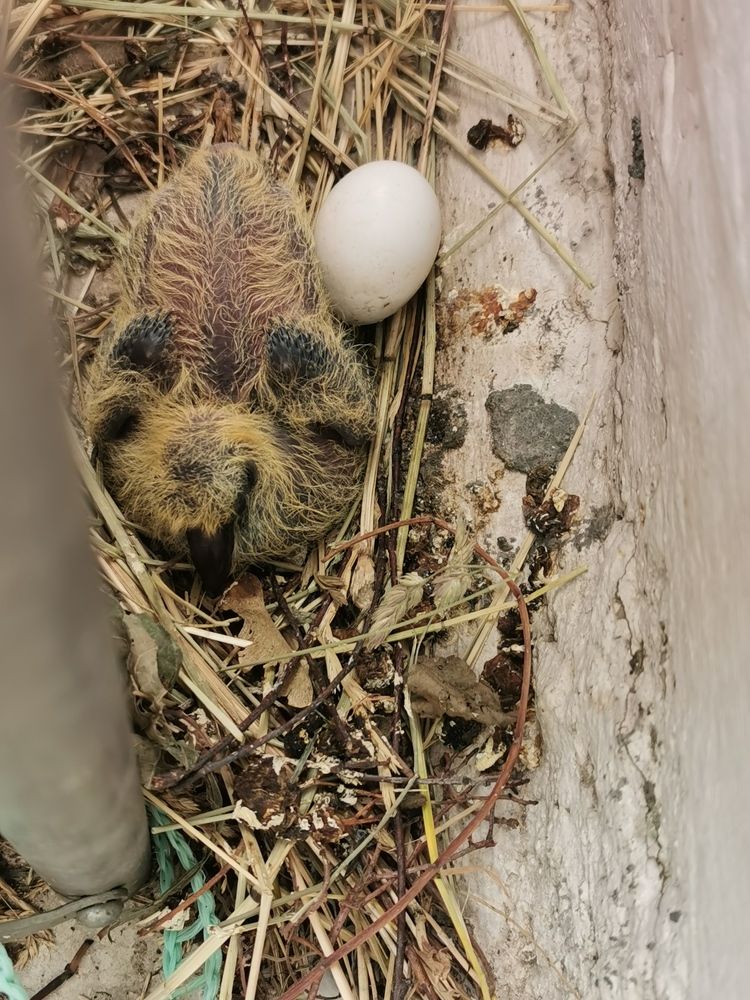 Photograph by Людмила Орловская