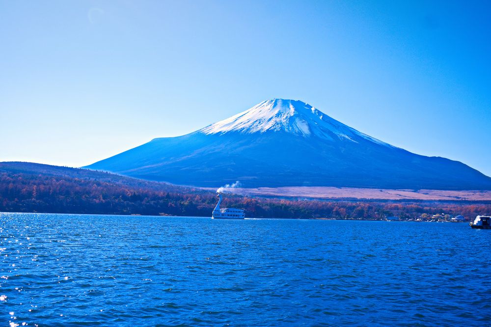 Фотография автора Sen Abhijit